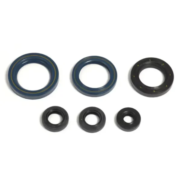 Sada gufier motora KTM SX 125 95-97, EXC 125 95-97