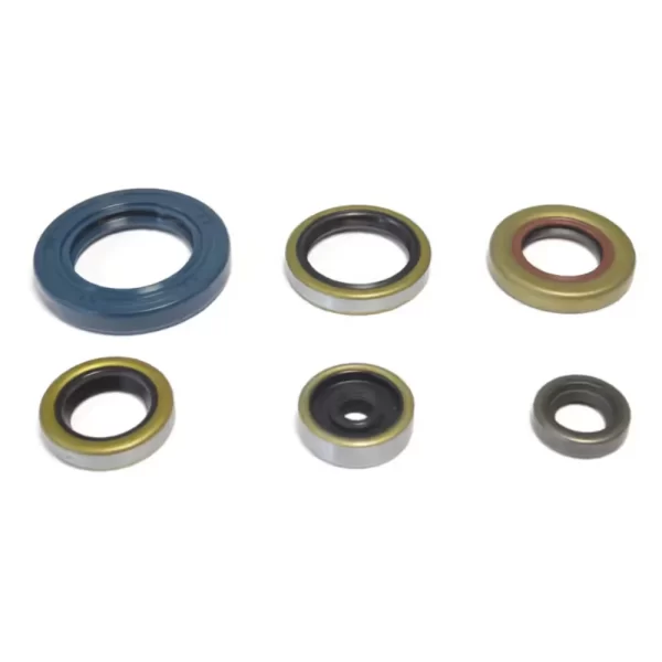 Sada gufier motora KTM SX 65 09-21, Husqvarna TC 65 17-21
