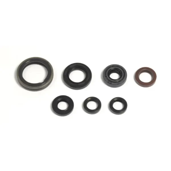 Sada gufier motora Yamaha YZF 250 01-13