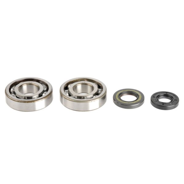 Sada ložísk a gufier kľukového hriadeľa Kawasaki KX 250 94-01