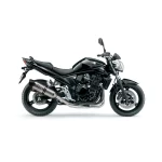 Výfuk LeoVince Suzuki GSF 650 07-15, GSX-F 650 08-15