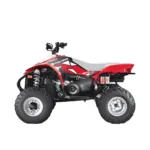 Polepy DREAM 2 Polaris SCRAMBLER 04-09 – Obrázok 2