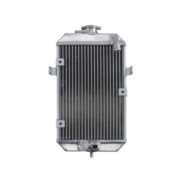 Chladič Yamaha YFM 660R 01-05