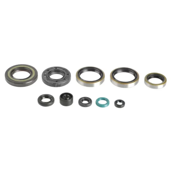 Sada gufier motora Kawasaki KX 250 05-08