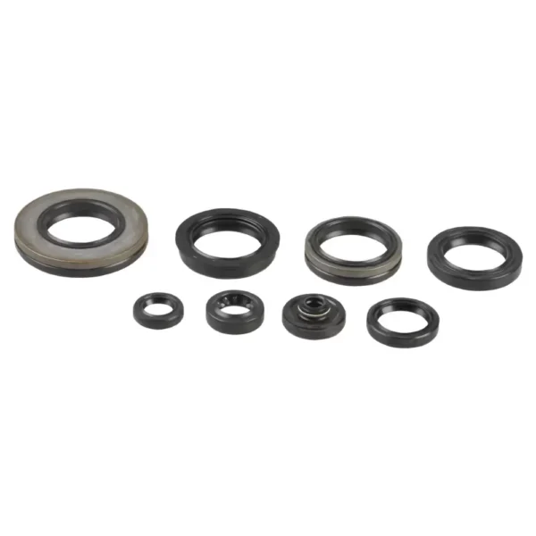 Sada gufier motora Suzuki RM 250 03-08