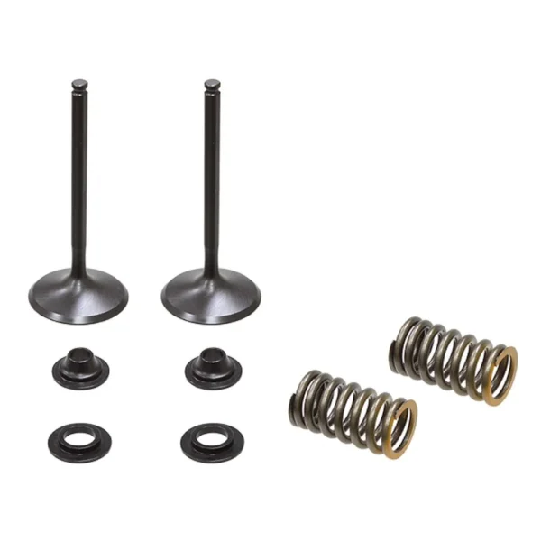 Sacie ventily s pružinkami Yamaha YZF 450 10-13