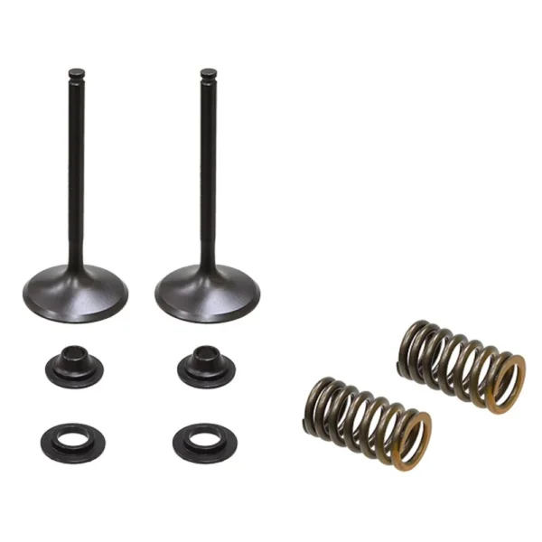 Sacie ventily s pružinkami Yamaha YZF 450 14-19